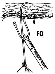 4119067-SL115-3-Schwegler-Nisthoehle-2M-FO---26mm_1.jpg 4119067-SL115-3-Schwegler-Nisthoehle-2M-FO---26mm_1.jpg