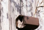 4119070-SL157-3-Schwegler-Halbhoehle-2HW_1.jpg