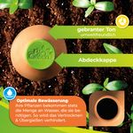 4119085-HM-L-BioGreen-Olla-Pflanzenbewaesserung-Hydro-Max-L--6-5l-_4.jpg