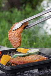 4119103-PE-za1-Petromax-Grill--und-Kohlenzange--klein-_1.jpg 4119103-PE-za1-Petromax-Grill--und-Kohlenzange--klein-_1.jpg