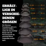 4119131-PE-fp35h-t-Petromax-Feuerpfanne-fp35h-t-mit-Henkeln_6.jpg