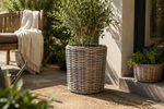 4119190-MGC1545-mgc24-Drypot-Rattan-rund---50x52cm_1.png