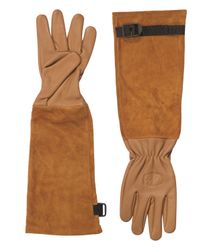 4119290-FELCO-705XL-FELCO-705XL-Premium-Rindnarben-Rosenhandschuhe--Groesse-XL.jpg 4119290-FELCO-705XL-FELCO-705XL-Premium-Rindnarben-Rosenhandschuhe--Groesse-XL.jpg