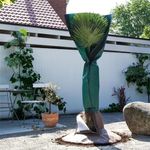 4119417-PSS-BioGreen-Palmen-Stammschutz_3.jpg