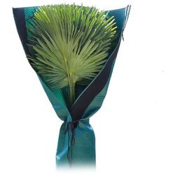 4119417-PSS-BioGreen-Palmen-Stammschutz_2.jpg 4119417-PSS-BioGreen-Palmen-Stammschutz_2.jpg