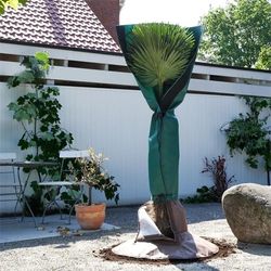 4119417-PSS-BioGreen-Palmen-Stammschutz_3.jpg 4119417-PSS-BioGreen-Palmen-Stammschutz_3.jpg