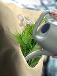 4119419-VS-180-120-W-BioGreen-Kuebelpflanzensack-XXL-Window_2.jpg
