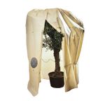 4119421-VS-360-250-W-BioGreen-Kuebelpflanzensack-Mammut-Window.jpg