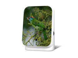4119939-RE11JGL0301001--Junglebox-Limited-Edition-Fall-24-Blue-throated-Barbet.jpg 4119939-RE11JGL0301001--Junglebox-Limited-Edition-Fall-24-Blue-throated-Barbet.jpg