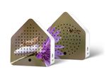 4119944-RE11ZPB0301002-Zirpybox-Limited-Edition-Fall-24-Grasshopper-und-Bee.jpg