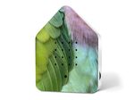 4120262-RE11ZBX0301024-Zwitscherbox-Limited-Edition-Spring-24-Green-Feathers.jpg
