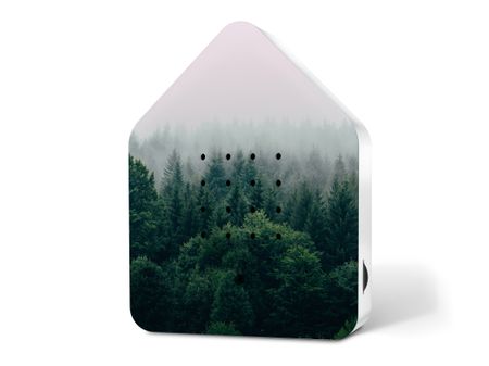 Zwitscherbox Limited Edition Spring 24 Morning Forest