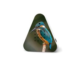 4120276-RE11LSB0301006-Lakesidebox-Limited-Edition-Spring-25-Kingfisher.jpg 4120276-RE11LSB0301006-Lakesidebox-Limited-Edition-Spring-25-Kingfisher.jpg