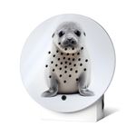 4120277-RE11OBX0301017-Oceanbox-Limited-Edition-Spring-25-Baby-Seal.jpg