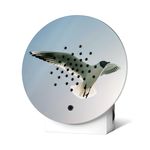 4120278-RE11OBX0301016-Oceanbox-Limited-Edition-Spring-25-Black-headed-Gull.jpg