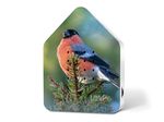 4120280-RE11ZBX0301027-Zwitscherbox-Limited-Edition-Spring-25-Bullfinch.jpg