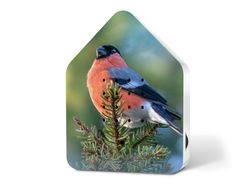 4120280-RE11ZBX0301027-Zwitscherbox-Limited-Edition-Spring-25-Bullfinch.jpg 4120280-RE11ZBX0301027-Zwitscherbox-Limited-Edition-Spring-25-Bullfinch.jpg