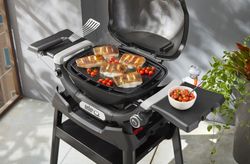 4120388-3400866-Weber-Grillplatte-Full-Size-fuer-Q1000N-Serie_3.jpg 4120388-3400866-Weber-Grillplatte-Full-Size-fuer-Q1000N-Serie_3.jpg