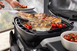 4120388-3400866-Weber-Grillplatte-Full-Size-fuer-Q1000N-Serie_4.jpg 4120388-3400866-Weber-Grillplatte-Full-Size-fuer-Q1000N-Serie_4.jpg