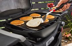 4120390-3400868-Weber-Grillplatte-Full-Size-fuer-Q3000N-Serie_3.jpg 4120390-3400868-Weber-Grillplatte-Full-Size-fuer-Q3000N-Serie_3.jpg