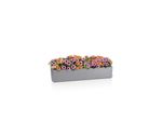 4120426-LE15438-LECHUZA-BALCONERA-Stone-100-Komplettset-steingrau_1.jpg