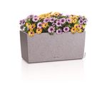 4120430-LE15434-LECHUZA-BALCONERA-Stone-40-Komplettset-steingrau_1.jpg