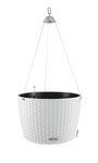 4120552-LE15290-LECHUZA-NIDO-Cottage-35-Komplettset-weiss.jpg