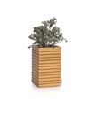 4120554-LE16771-LECHUZA-PALO-Natural-Wood-35-high-Komplettset-Eukalyptusholz_1.jpg