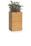 4120556-LE16773-LECHUZA-PALO-Natural-Wood-45-high-Komplettset-Eukalyptusholz_1.jpg
