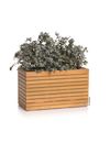 4120559-LE16774-LECHUZA-PALO-Natural-Wood-80-wide-low-Komplettset-Eukalyptusholz_1.jpg