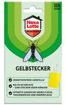 4120653-CE38091-Nexa-Lotte-Gelbstecker-fuer-Topfpflanzen-Neu-10-Stueck.jpg