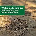 4120755-BA86601809-Protect-Home-Ameisen-Nestverschluss-750ml_2.jpg