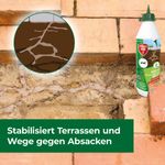 4120755-BA86601809-Protect-Home-Ameisen-Nestverschluss-750ml_4.jpg