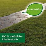 4120755-BA86601809-Protect-Home-Ameisen-Nestverschluss-750ml_6.jpg