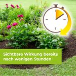 4120782-BA86601726-Protect-Garden-Permaclean-Express-Unkrautfrei-AF-2-5l_3.jpg