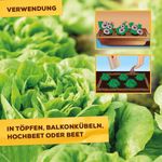 4120786-BA86601741-Solabiol-Schneckenbarriere-1-5kg_2.jpg