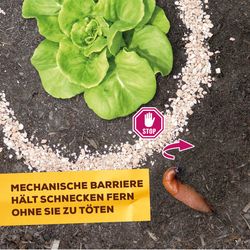 4120786-BA86601741-Solabiol-Schneckenbarriere-1-5kg_1.jpg 4120786-BA86601741-Solabiol-Schneckenbarriere-1-5kg_1.jpg