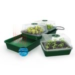 4120829-BG-HOL3-BioGreen-Hollandia-Aufzuchtstation.jpg