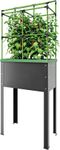 4120845-BG-JGL-HDB-L-BioGreen-Heidelberg-Hochbeet.jpg