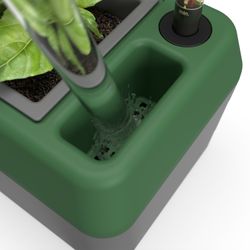 4120848-BG-PRO-4-BioGreen-Kraeuterbox-Provence-Selbstbewaessernd_2.jpg 4120848-BG-PRO-4-BioGreen-Kraeuterbox-Provence-Selbstbewaessernd_2.jpg