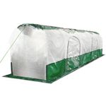 4120849-BG-SD300-BioGreen-Super-Dome-Pflanztunnel.jpg