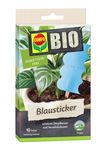4121286-CO24122-COMPO-BIO-Blausticker-10-Stueck.jpg