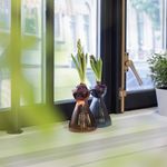 4122315-ESBG011-Esschert-Zwiebelvase-geriff--Hyazinthe.jpg