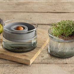 4122316-ESC2134-Esschert-Avocadokeimset.jpg 4122316-ESC2134-Esschert-Avocadokeimset.jpg