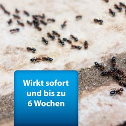 4122381-AD77471-ARDAP-Pro-Ungezieferspray-400ml_1.jpg 4122381-AD77471-ARDAP-Pro-Ungezieferspray-400ml_1.jpg