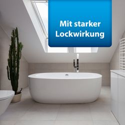 4122382-AD77476-ARDAP-Pro-Silberfisch-Koederdose-4-Stueck_1.jpg 4122382-AD77476-ARDAP-Pro-Silberfisch-Koederdose-4-Stueck_1.jpg