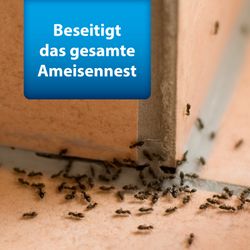 4122385-AD77484-ARDAP-Pro-Ameisen-Streu--und-Giessmittel-500g_1.jpg 4122385-AD77484-ARDAP-Pro-Ameisen-Streu--und-Giessmittel-500g_1.jpg