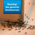 4122386-AD77487-ARDAP-Pro-Ameisenkoederdose-3-Stueck_4.jpg