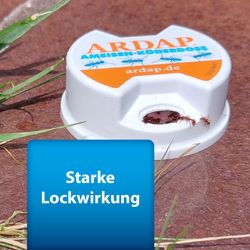 4122386-AD77487-ARDAP-Pro-Ameisenkoederdose-3-Stueck_3.jpg 4122386-AD77487-ARDAP-Pro-Ameisenkoederdose-3-Stueck_3.jpg