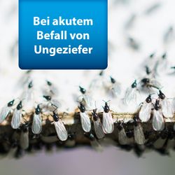 4122390-AD77865-ARDAP-Pro-Ungeziefer-Konzentrat-500ml_1.jpg 4122390-AD77865-ARDAP-Pro-Ungeziefer-Konzentrat-500ml_1.jpg